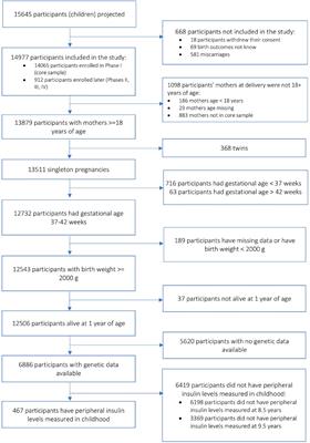 Early Life Adversity and Polygenic Risk for High Fasting Insulin Are Associated With Childhood Impulsivity